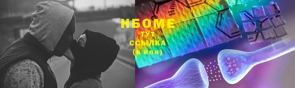 мдпв Ладушкин