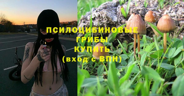спайс Лабытнанги